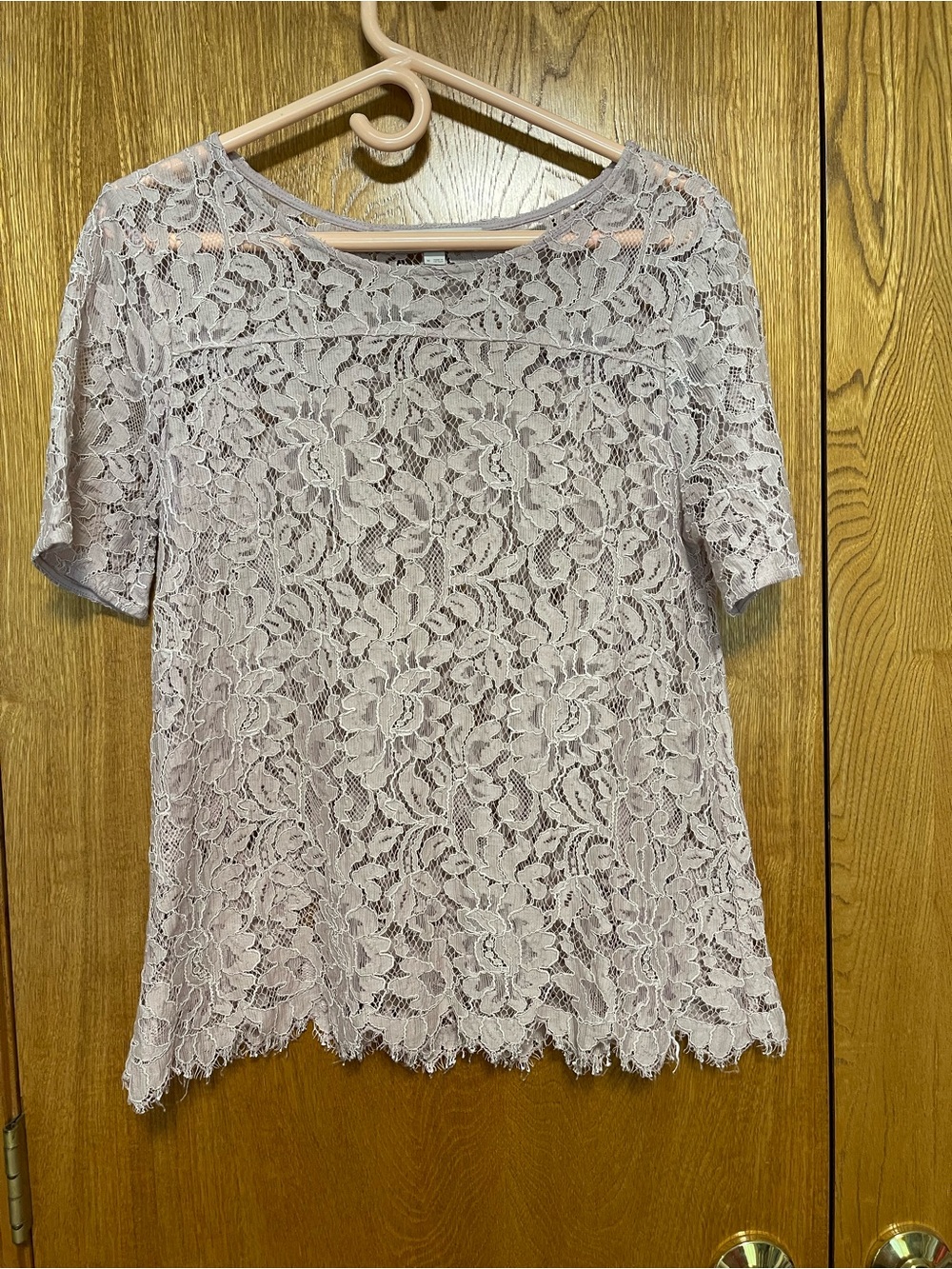 LOFT Lace Short-Sleeve Blouse in Light Mauve